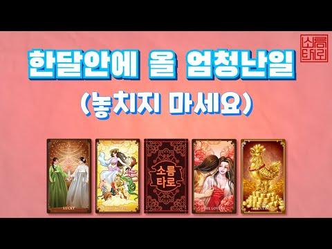 [타로/타로점] 한달안에 일어날 엄청난 일은? - 운세 및 상담