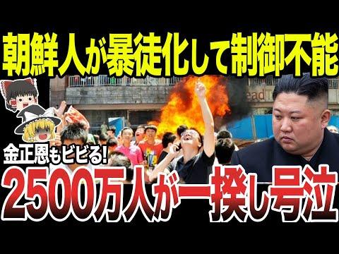 北朝鮮の食料不足と政治状況についての洞察的な分析