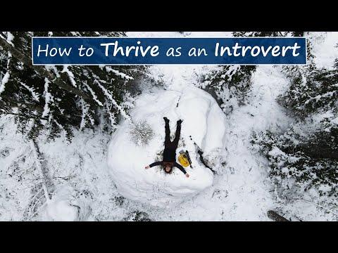 Unlocking the Secrets of Thriving as an Introvert