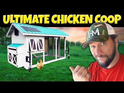 Ultimate Guide to Building a Unique and Functional Chicken Coop