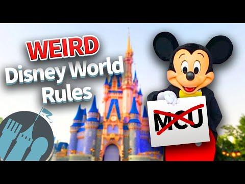 Unveiling the Quirky Rules of Disney World