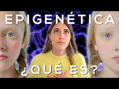 La Fascinante Epigenética: Descubre por qué los Gemelos no son Iguales