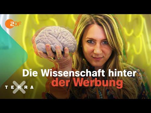 Wie Neuromarketing das Kaufverhalten beeinflusst