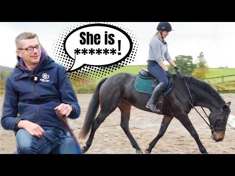 Mastering Dressage: Tips and Techniques for Riding and Training Your Horse