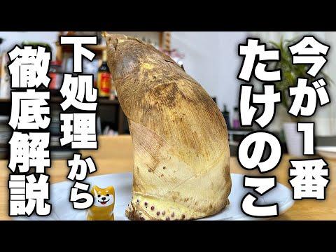 たけのこの土佐煮の作り方と保存方法 - 春の味を楽しむ