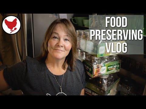 Homestead Vlog: Food Preserving Tips for Kimchi, Knives & Herbal Remedies