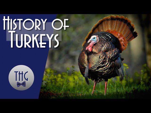 The Fascinating History of Turkeys: From the First Thanksgiving to Modern Day Traditions