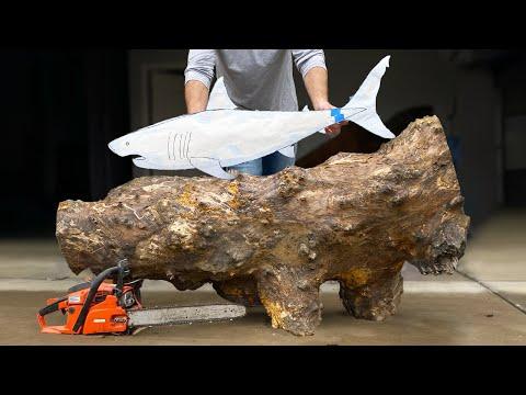 Incredible Shark Sculpture: From Carving to Swimming