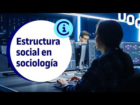 La Estructura Social en Sociología: Descubriendo las Bases de la Organización Social