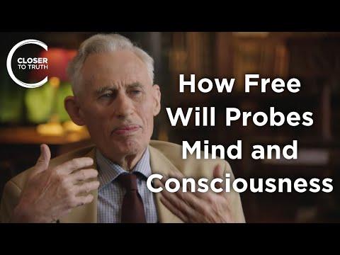 Exploring the Intersection of Quantum Theory and Free Will: A Deep Dive into Consciousness