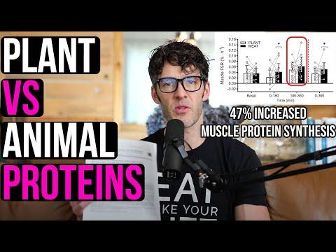 Is Muscle Protein Synthesis the Same as Muscle Growth?