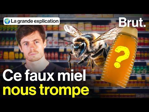 Les Miels Importés en France: Un Problème de Qualité et de Traçabilité
