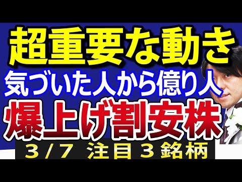 日本株市場の最新動向と注目ポイント