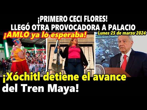 Escándalos en Palacio Nacional: Detención del Tren Maya y Protestas Ciudadanas