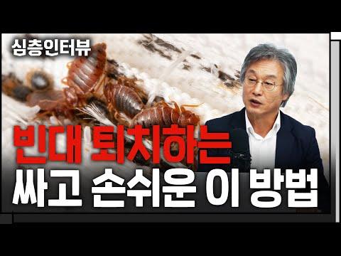 빈대에 대한 심층 인터뷰: 주거 환경과 예방법