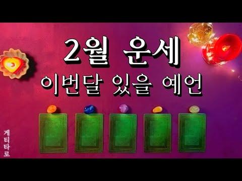 [타로] 2월 운세 총운 🔮이달의 중요 인연 & 사건