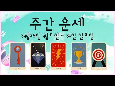 [타로/주간운세]3월 마지막 주의 운세 및 전망