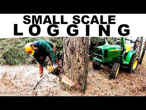 Discover the Art of Small Scale Logging in 2023