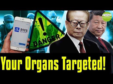 Uncovering the Dark Truth of Organ Theft in China