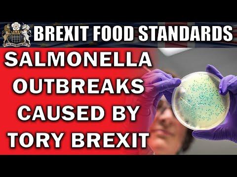 Brexit's Impact on Food Safety: Salmonella Outbreaks and Border Control Concerns