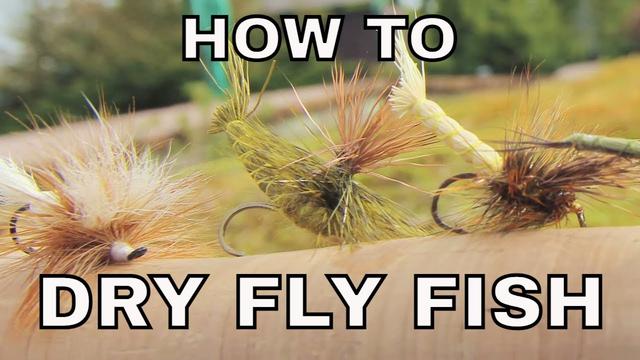 The Anatomy of a Fly Fishing Setup - Overton's