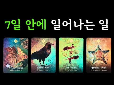 주간타로: 4월29일~5월5일, 당신을 기다리는 행운의 때