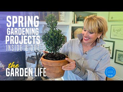 Transform Your Garden with DIY Centerpieces and Topiaries: A Spring Gardening Guide