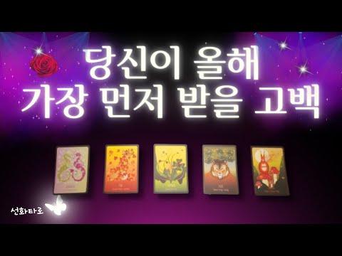 [타로|연애💘] 2024년 연애운 트렌드와 저스티스의 카드