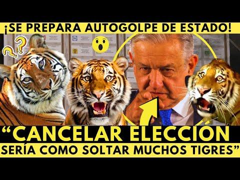 ¿Qué está pasando con AMLO y la elección? Descubre los detalles aquí