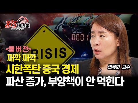 중국 경제위기: 부동산 정책 실패와 기업 파산 증가, 안유화 교수의 분석