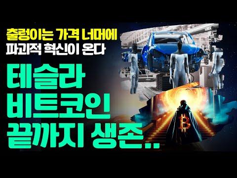 비트코인과 테슬라의 투자 전략 및 생존 전략