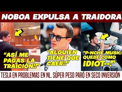 Expulsión de Mónica Palencia de Ecuador y Cancelación de planta de Tesla en Nuevo León: Impacto en México