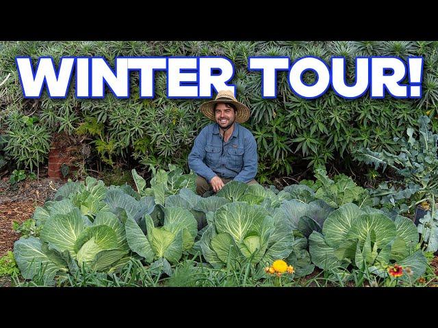 Winter Garden Tour | Growing Tips and Vegetable Uses
