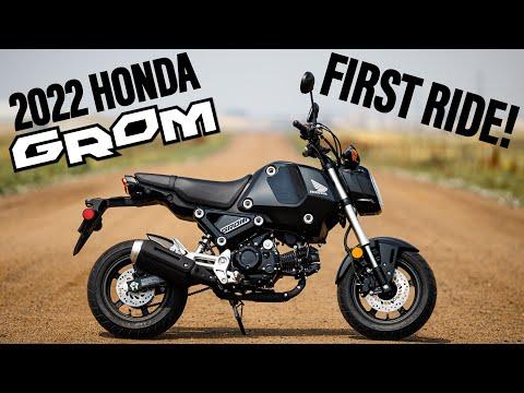 2022 Honda Grom: First Ride Impressions and Customization Plans