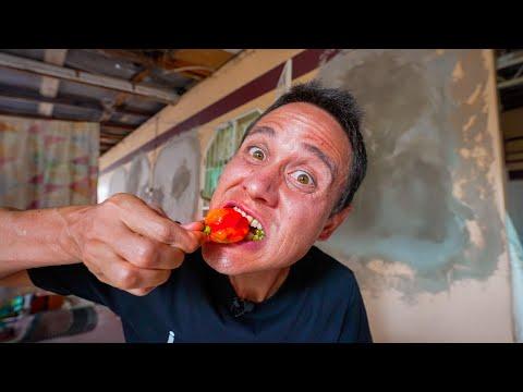 Exploring Trinidad Scorpion Peppers: A Spicy Food Adventure