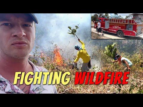 Protecting Our Home: A Story of Battling Wildfires and Community Support