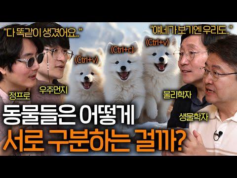 동물들은 왜 똑같이 생겼는지? 신선한 시각으로 살펴보는 이유들