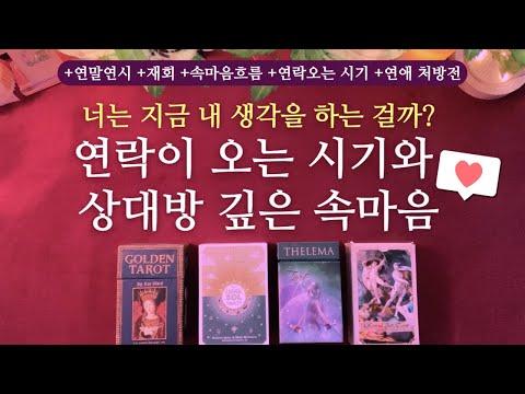 [타로 연애운]🌹현 시점, 상대방의 진짜 속마음과 연락이 오는 시기🔮 + 두사람 흐름 #타로 #재회 #연락