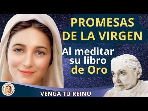 Descubre las Promesas de la Reina del Cielo al Meditar su Libro de Oro