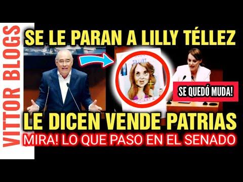 Confrontación en el Senado: Senadoras de Morena vs Lili Téllez