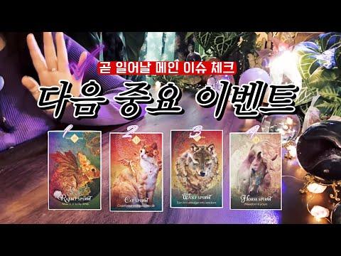 타로 카드를 통해 알아보는 내게 곧 일어날 중요한 사건 🔮