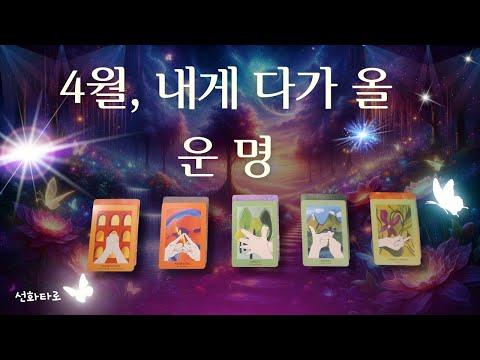 [타로|4월🔮] 4월, 내게 다가올 운명 (4월 종합운) - 신선한 운세!