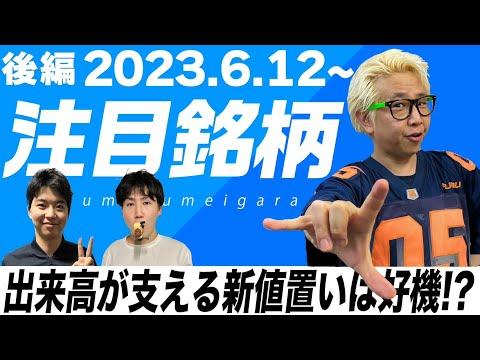 株Tube#435: 2023年6月12日～の注目銘柄TOP6+6(後編)【毎週日曜更新】