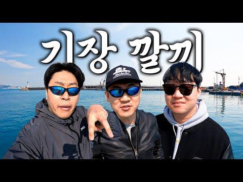 부산 기장 여행의 화제와 지역 특산물 소개