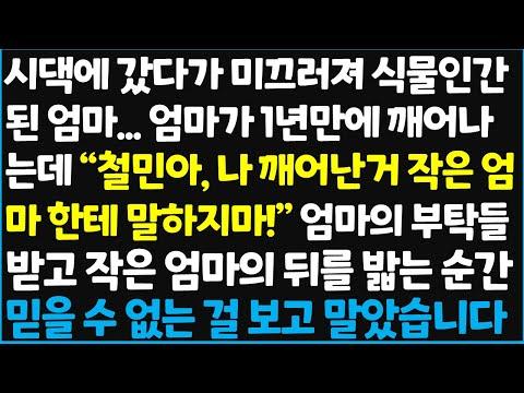 식물인간 엄마의 깨어남, 가족의 이야기