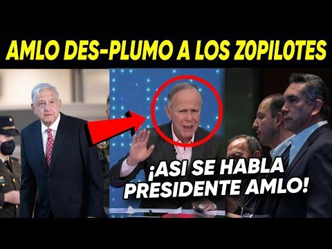 La Verdad detrás del Mensaje de AMLO ¡DES-PLUMA A LOS Z0PILOTES!