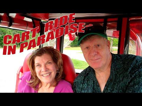 Exploring Gizmo's Bench: A Cart Ride Adventure in Paradise