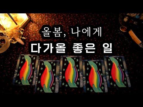 타로 커뮤니티와 콘텐츠 제공을 통한 성장과 변화