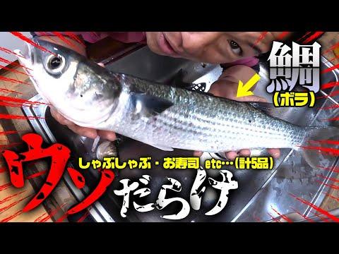 魚を食べさせた結果…偽りのフルコース‼