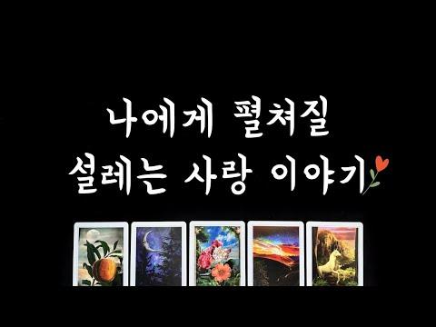 [타로] 연애운 흐름을 알아보자 💕